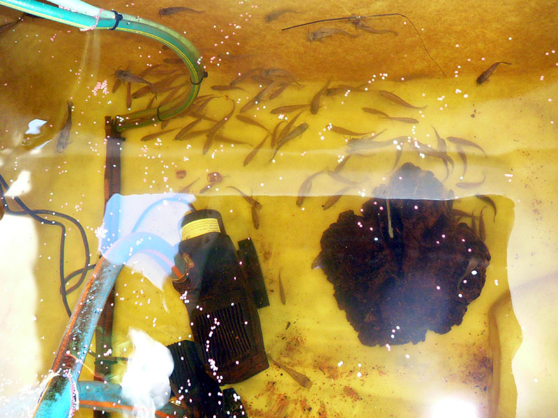 BA 22-6-09 007Redcopy.jpg