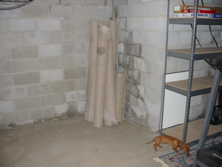 Basement.jpg