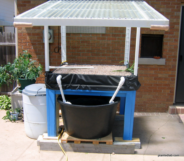 2009_05_24_backyard_aquaponics.JPG