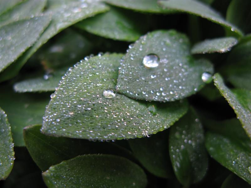 IMG_0857_1 (Medium).JPG