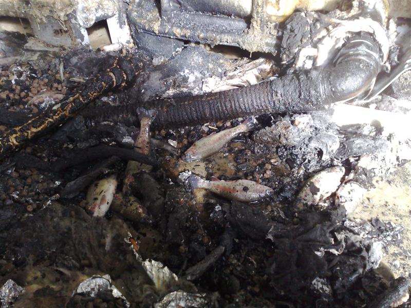 01072009301 (Medium).jpg