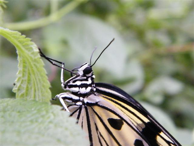 DSCF0535 (Small).JPG