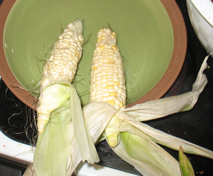 corn.JPG