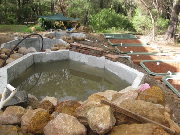 Back Yard Aquaponics Don 006.JPG