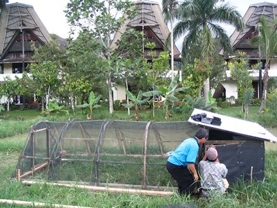 Chicken Tractor 3.JPG