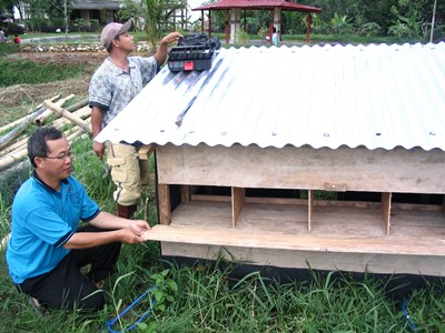 Chicken Tractor 4.JPG