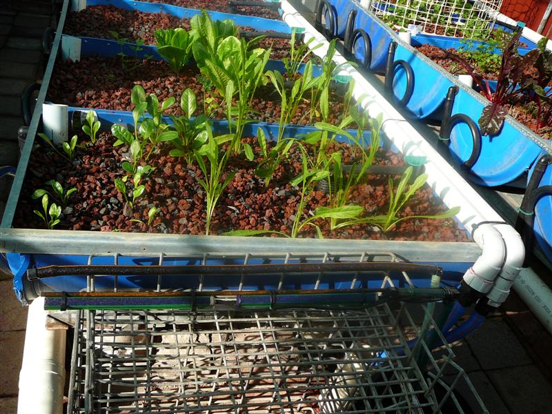 B-Up air 002 (Medium).jpg