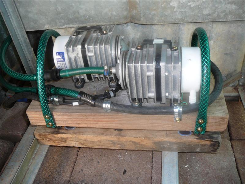 B-Up air 001 (Medium).jpg