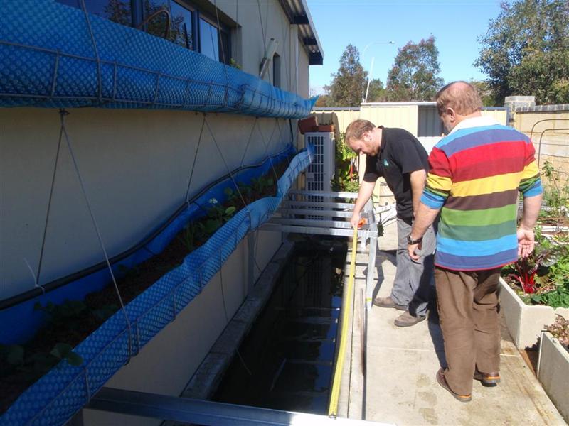 P7240001 (Large) (Medium).JPG