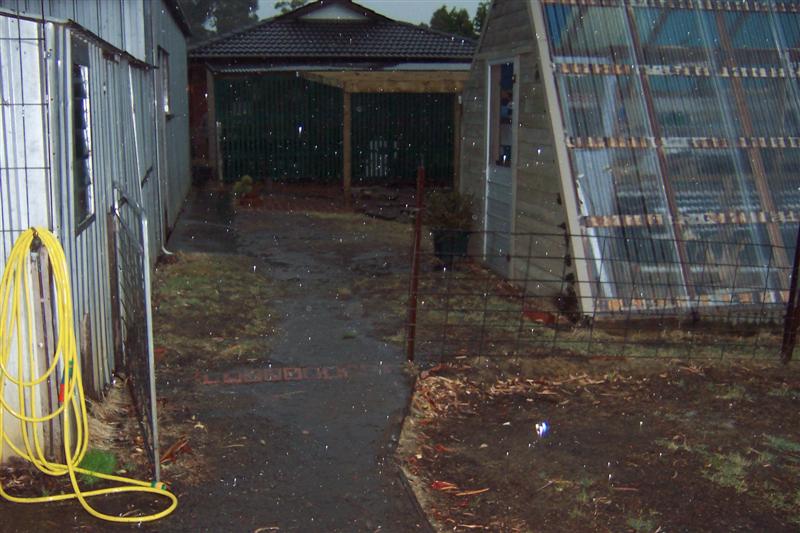 rain in buninyong (Medium).JPG