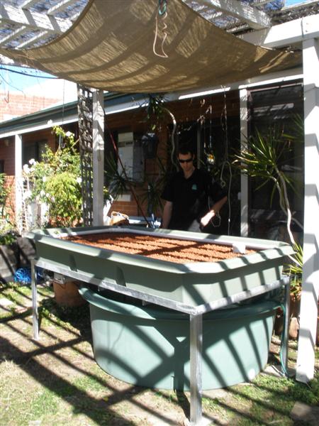 P8180246 (Medium).JPG