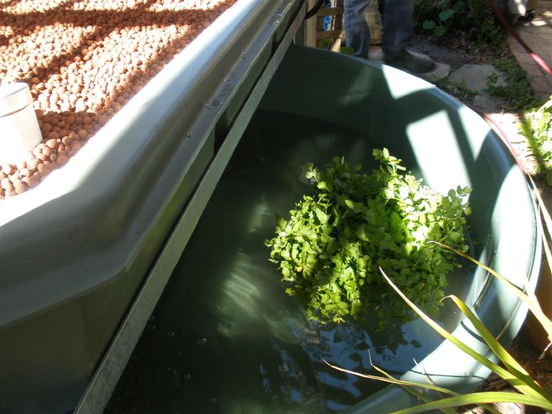 P8180251 (Medium).JPG