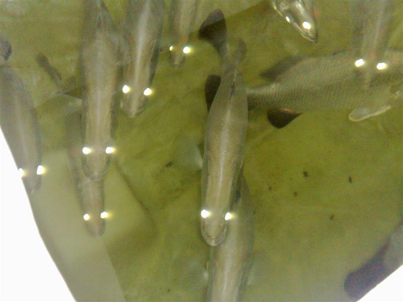 22022009283 (Medium).jpg