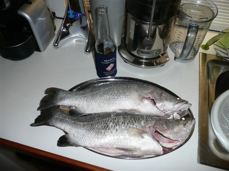 P1030444 (Medium).JPG