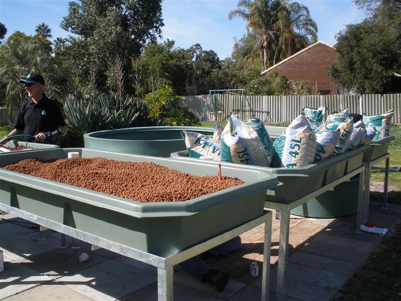 Eunice Miles 023 (Medium).jpg