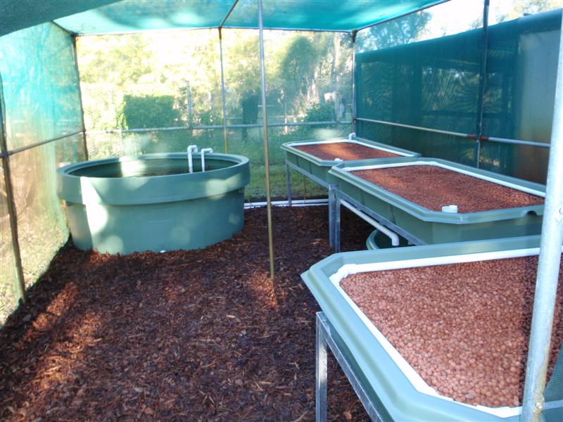 P8130026 (Medium).JPG