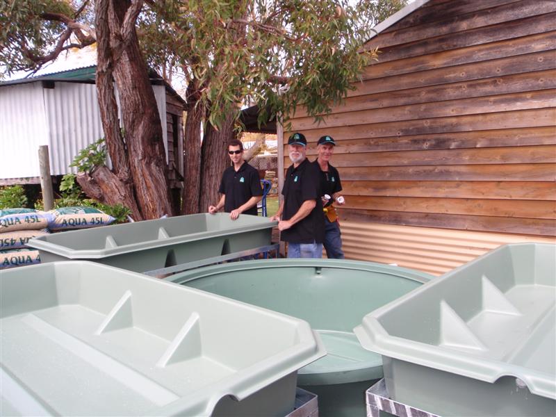 P9170131 (Medium).JPG