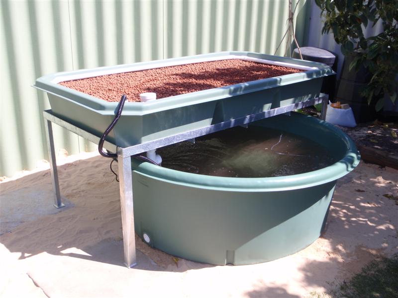 P9240197 (Medium).JPG