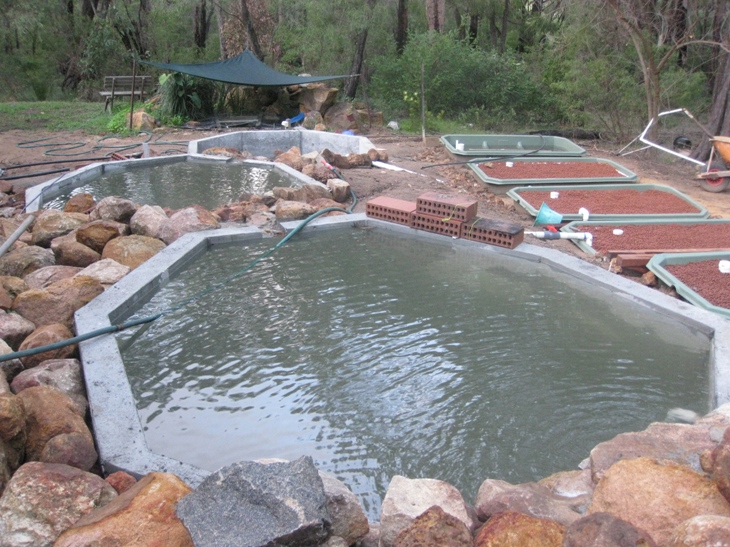 Dons waterfalls 012.JPG