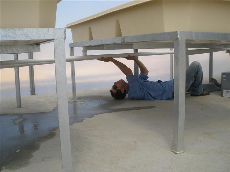 P1150125 (Medium).JPG