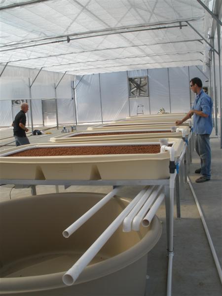 P1150137 (Medium).JPG