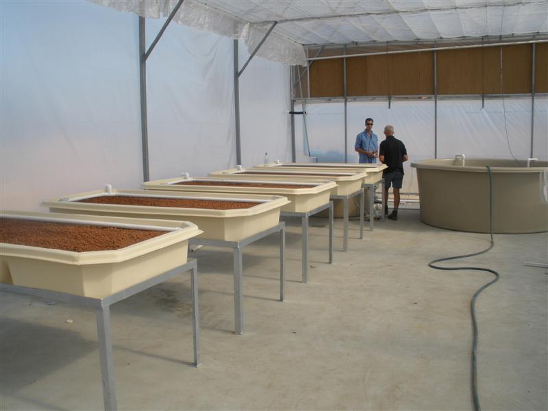 P1150135 (Medium).JPG