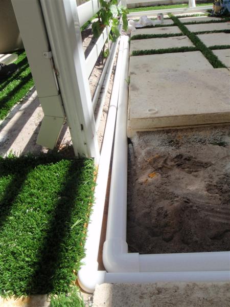 P2060029 (Medium).JPG