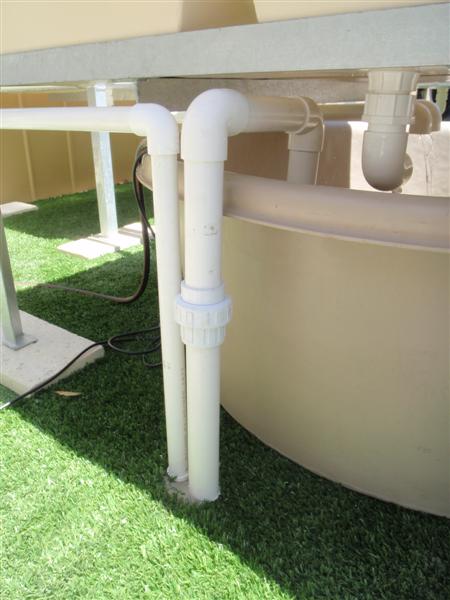 P2060037 (Medium).JPG