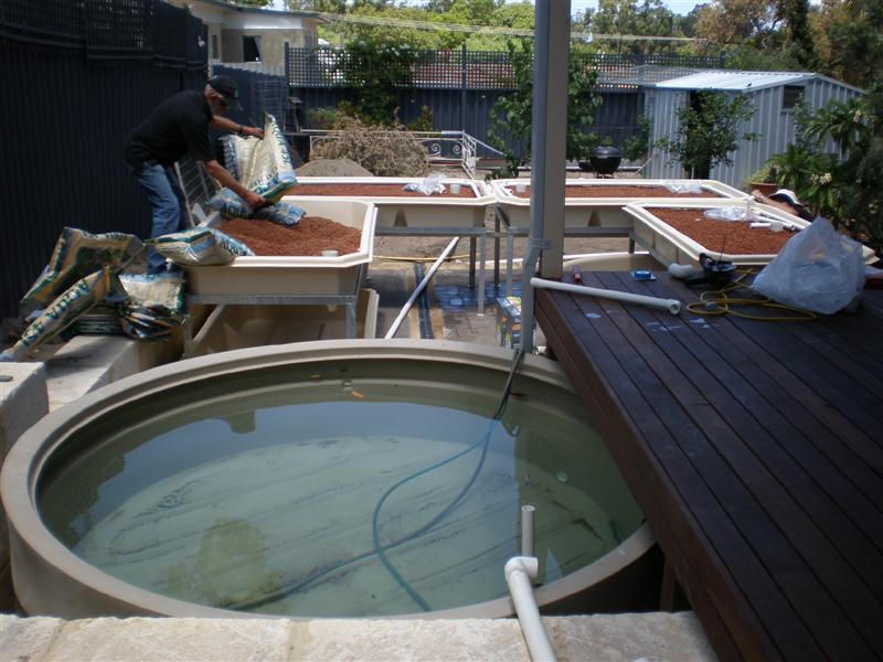 P2160174 (Medium).JPG