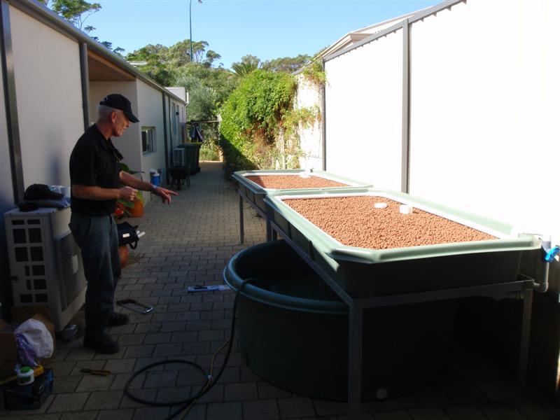 P4300046 (Medium).JPG