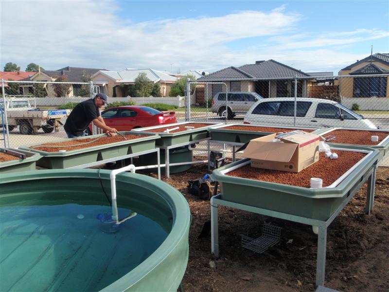 Harmony Primary School 024 (Medium).jpg