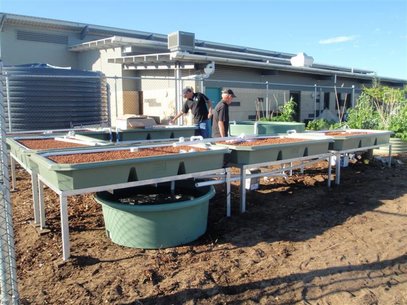 Harmony Primary School 032 (Medium).jpg