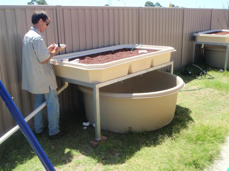 P3030006 (Medium).JPG