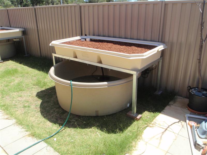 P3030009 (Medium).JPG