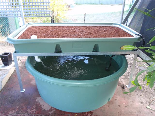 P5080058 (Small).JPG