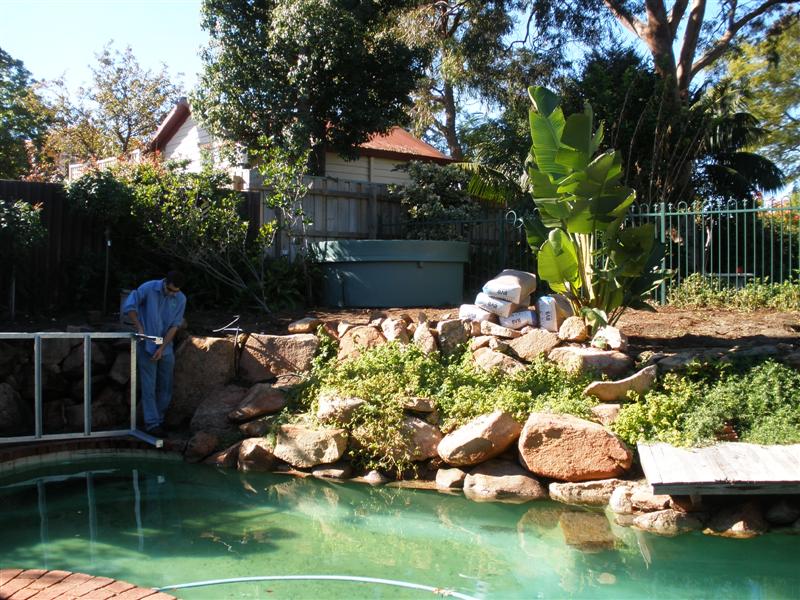 P6160086 (Medium).JPG