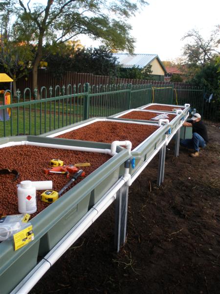 P6160106 (Medium).JPG