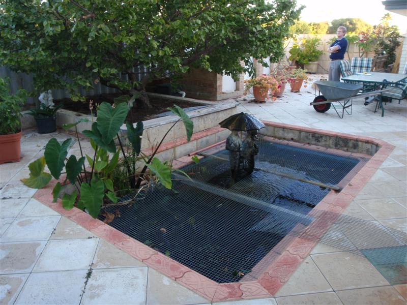 P5070075 (Medium).JPG