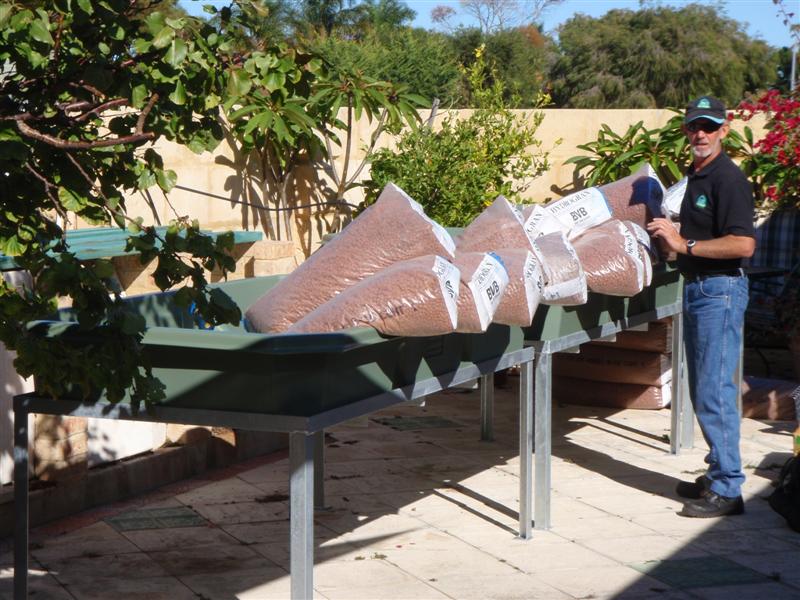 P5290003 (Medium).JPG