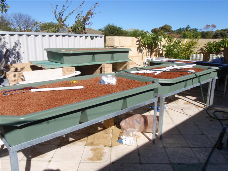 P5290007 (Medium).JPG