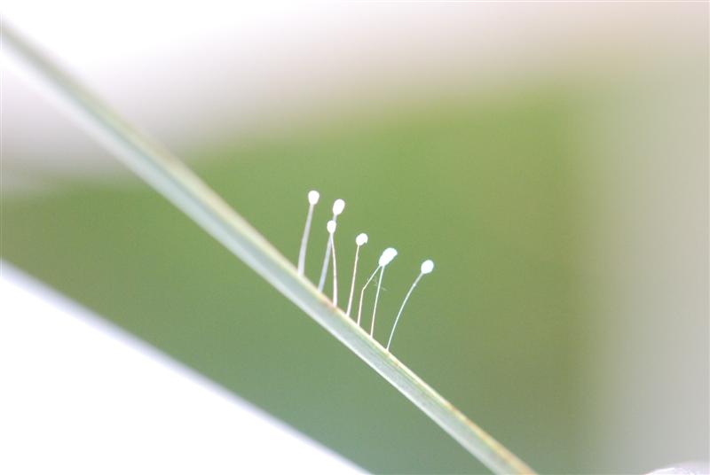 8.2.09 257 (Medium).jpg