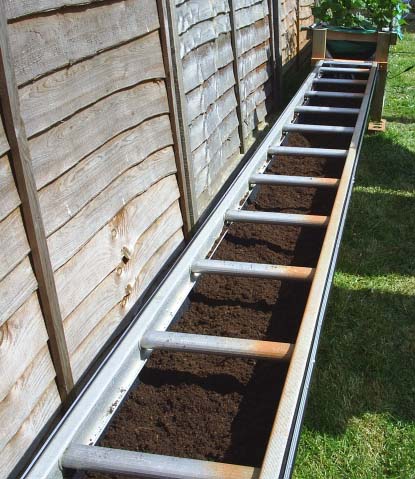 ladder hammock before.jpg