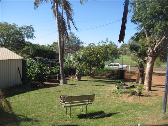 8 July 2009 Fish 001 (Small).jpg