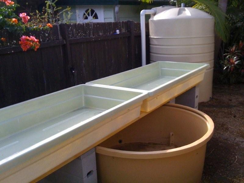 aquaponics photos 038.jpg