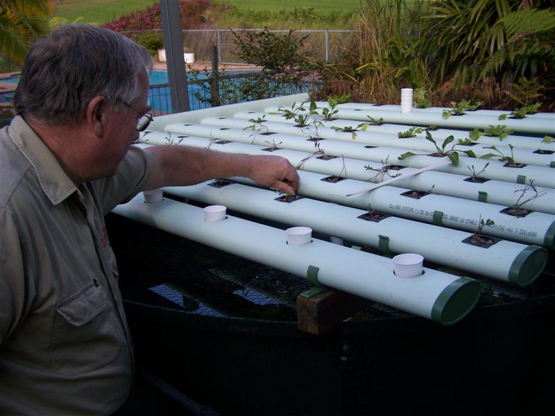 100_3223 (Medium).JPG