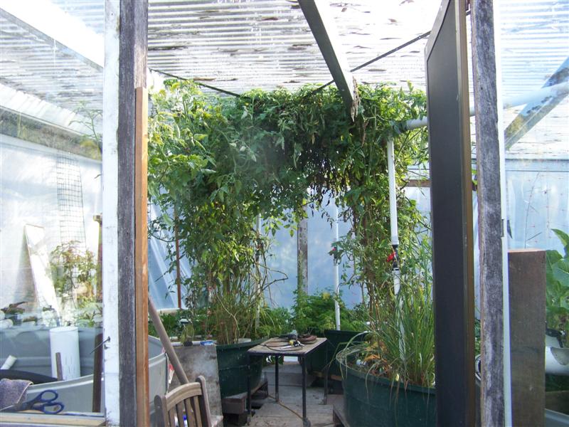 100_3228 (Medium).JPG