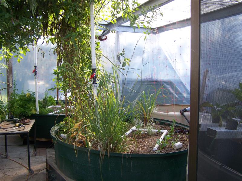 100_3226 (Medium).JPG