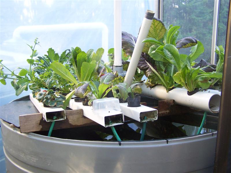 100_3230 (Medium).JPG