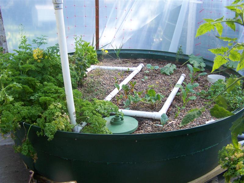 100_3232 (Medium).JPG