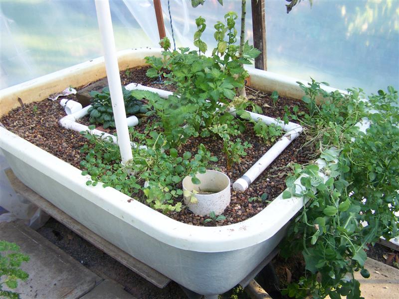 100_3233 (Medium).JPG